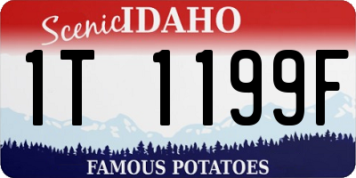 ID license plate 1T1199F