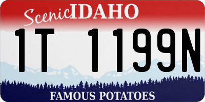 ID license plate 1T1199N