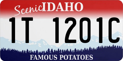ID license plate 1T1201C