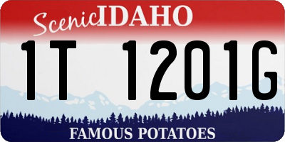 ID license plate 1T1201G
