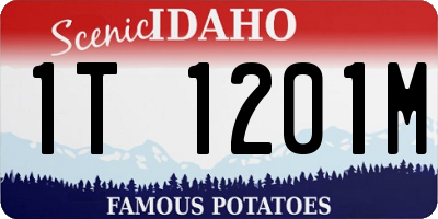 ID license plate 1T1201M