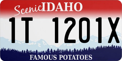 ID license plate 1T1201X