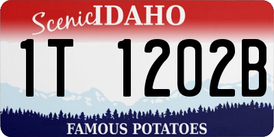 ID license plate 1T1202B