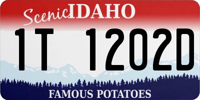 ID license plate 1T1202D