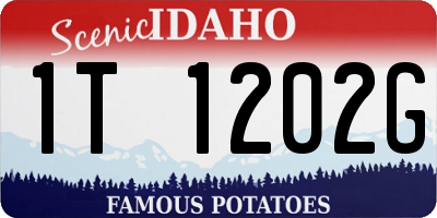 ID license plate 1T1202G