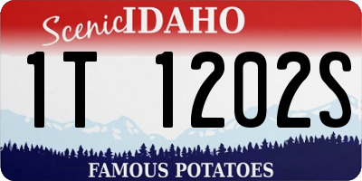 ID license plate 1T1202S