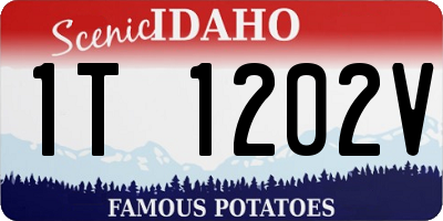 ID license plate 1T1202V