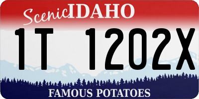 ID license plate 1T1202X