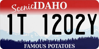 ID license plate 1T1202Y