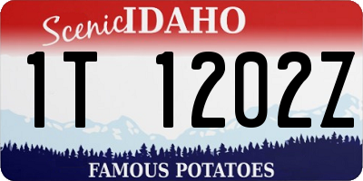ID license plate 1T1202Z