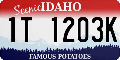 ID license plate 1T1203K