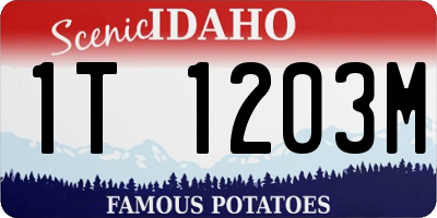 ID license plate 1T1203M