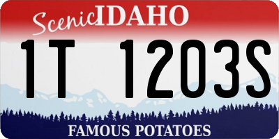 ID license plate 1T1203S