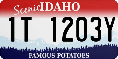 ID license plate 1T1203Y