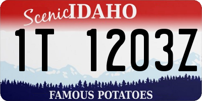 ID license plate 1T1203Z
