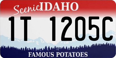 ID license plate 1T1205C
