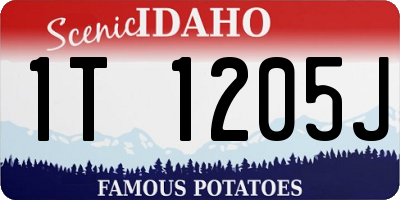 ID license plate 1T1205J