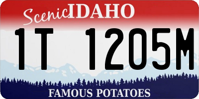 ID license plate 1T1205M
