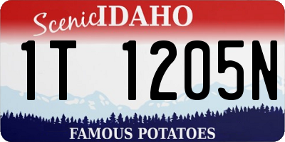 ID license plate 1T1205N