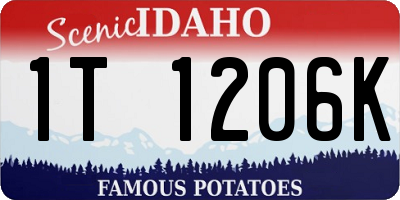 ID license plate 1T1206K