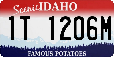 ID license plate 1T1206M