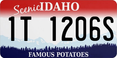 ID license plate 1T1206S