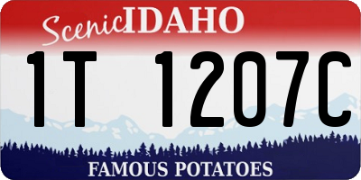 ID license plate 1T1207C
