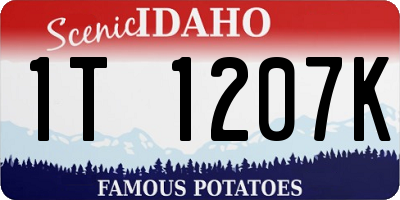 ID license plate 1T1207K