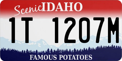 ID license plate 1T1207M