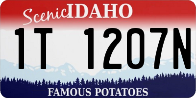 ID license plate 1T1207N