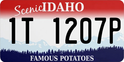 ID license plate 1T1207P