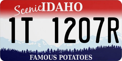 ID license plate 1T1207R