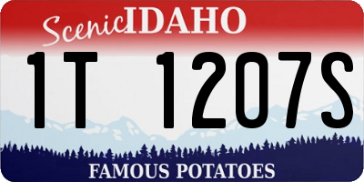 ID license plate 1T1207S
