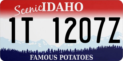 ID license plate 1T1207Z