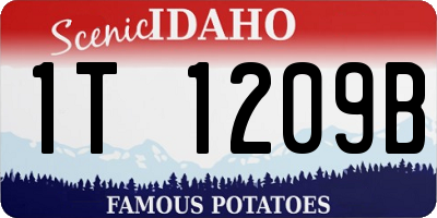 ID license plate 1T1209B