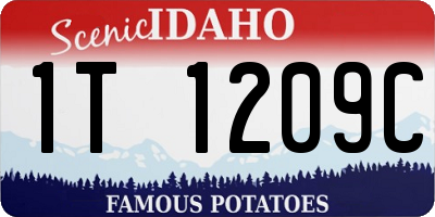 ID license plate 1T1209C