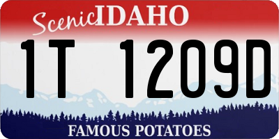 ID license plate 1T1209D