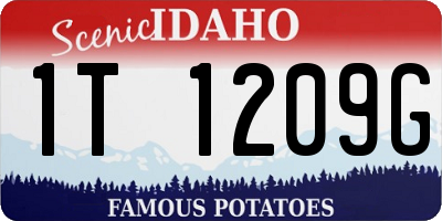 ID license plate 1T1209G