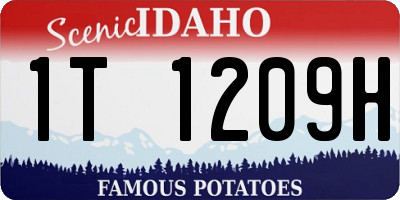 ID license plate 1T1209H