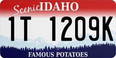 ID license plate 1T1209K