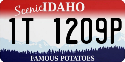 ID license plate 1T1209P