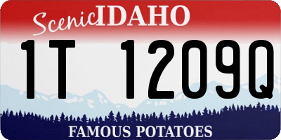ID license plate 1T1209Q