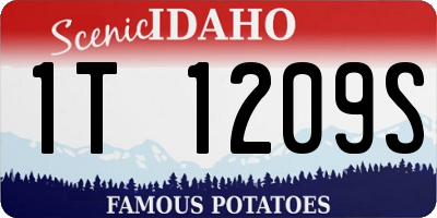 ID license plate 1T1209S
