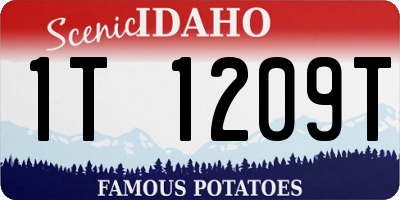 ID license plate 1T1209T
