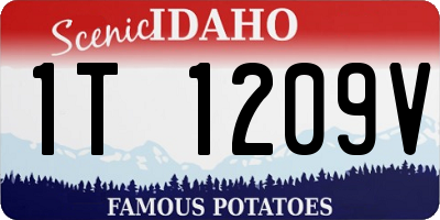 ID license plate 1T1209V