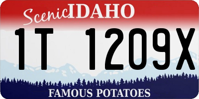 ID license plate 1T1209X