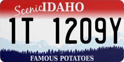 ID license plate 1T1209Y