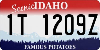 ID license plate 1T1209Z