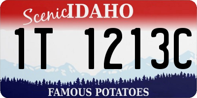 ID license plate 1T1213C