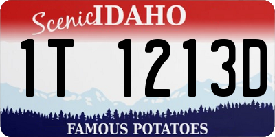 ID license plate 1T1213D
